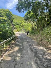 3d hentai laura b|Blursed master chief : r/blursedimages