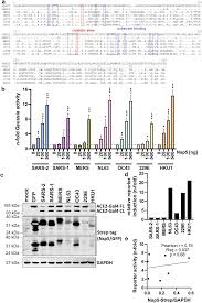 rq-star no. 00468|Analytic Solution for a Complex Network of Chaotic Oscillators