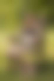 very skinny nude girl|skinny and very skinny girls | MOTHERLESS.COM ™