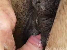 Men and mare sex porn videos jpg x Mare sex