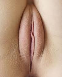 Vagina pussy close jpg x Vagina pussy close up