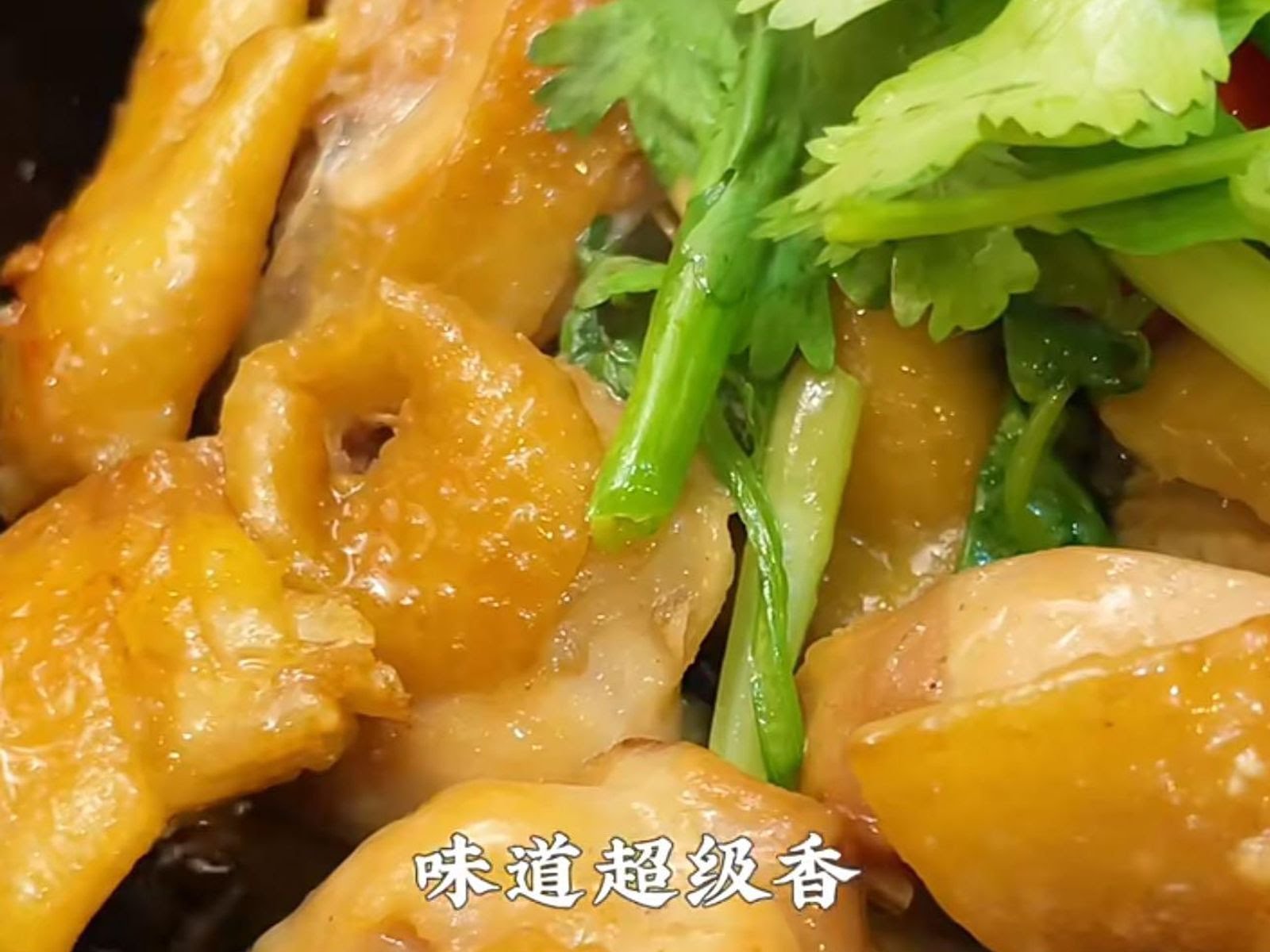 The Cajun House by null