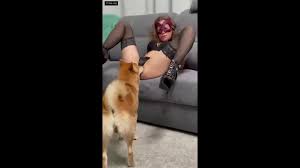 Blowjob dogs zoo porn with horny teen jpg x Girl sex with dog