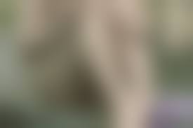 盗撮　露天風呂　マンコ|風呂盗撮専門サイト お風呂の中のプニョ