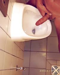 Cd fucked in public toilet shemale porn video shemale and tranny porn tube jpg x Public toilet
