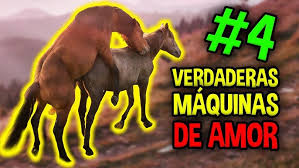 Mujeres teniendo sexo con animales aquí jpg x Teniendo sexo con animales
