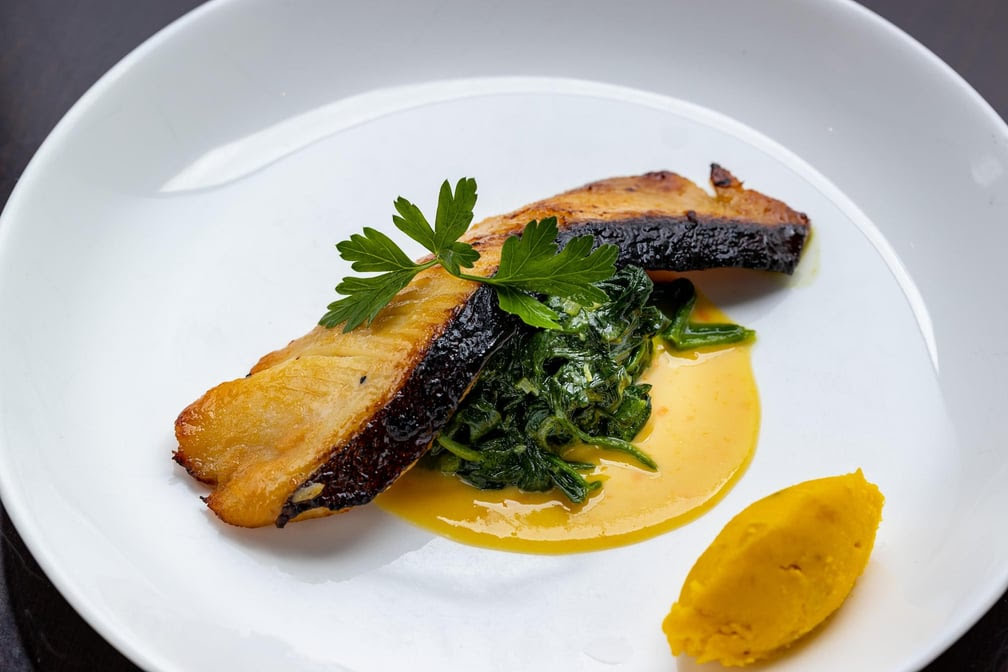 Momoya Chelsea by null