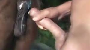 Man fucking white mare gaybeastcom animal porn video jpg x Guy fucks mare