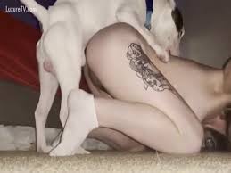 Amateur animal sex jpg x Amature dog sex