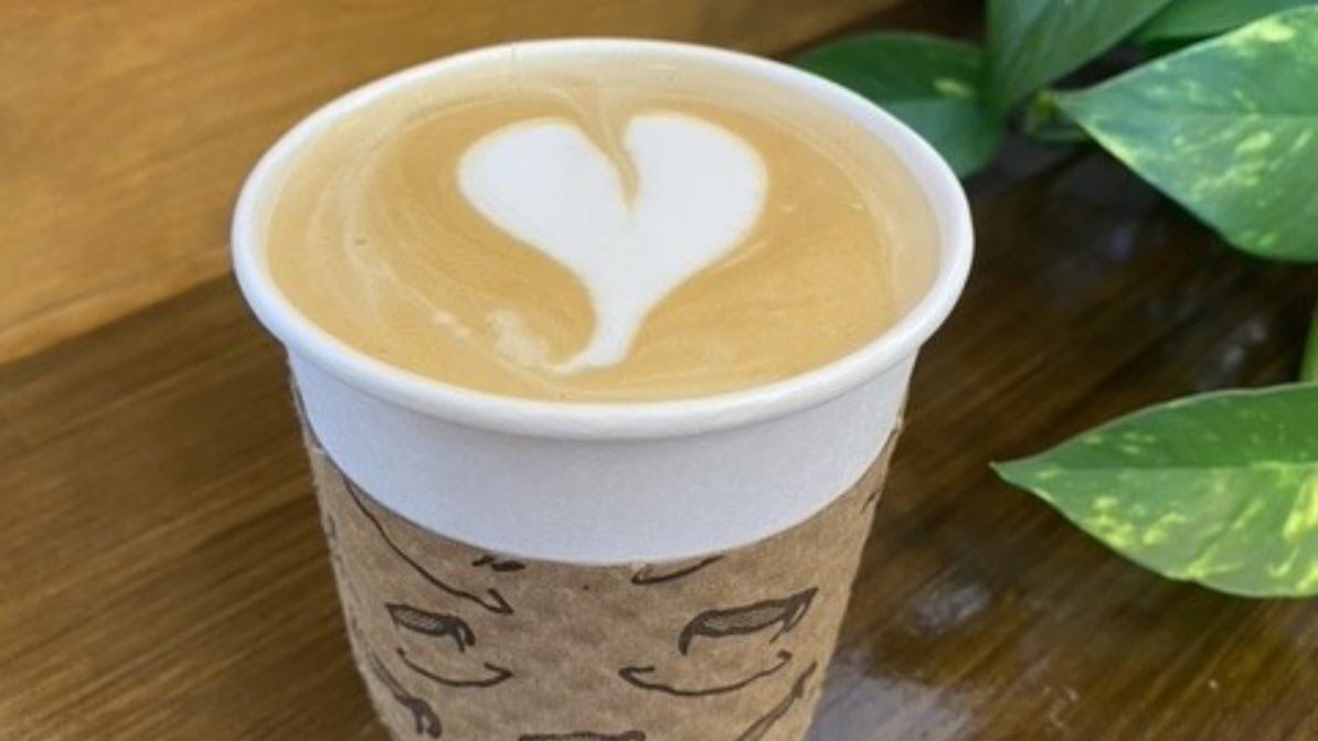 Savageau Coffee and Ice Cream by null