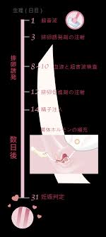 子宮口精子注射画像|☆サガミ タイミングエイド3回分（セルフシリンジ法キット） 通販【ニッセン】