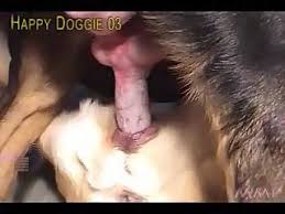 Best asian dog sex foursome with two teens free bestiality and animal porn jpg x Dog sex