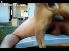 Watch now lucky big dog fucks curly girl in public free porn video animal sex watch animal sex free jpg x Big dog fucks girl