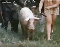 Sex with farm animals jpg x Sex with farm animals