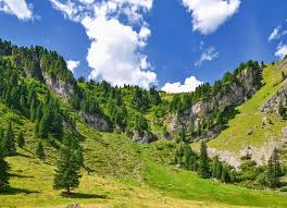 rajce.idnes. koupani 86|Damila – seznam alb na Rajčeti