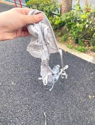 おばさん ひもパンツ|maison de LATIR 「綿100％で肌に優しい！シンプルで高品質なレディースショーツ」伸縮性抜群でフィット感抜群、履き心地も良く長時間快適！ラインも出ない理想のデザイン  -アウトレット通販 ロコレット (LOCOLET)