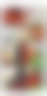 straight shota roadkill|Bulletin of the Kanagawa Prefectural Museum (Natural Science), no.49 /  神奈川県立博物館研究報告（自然科学）49