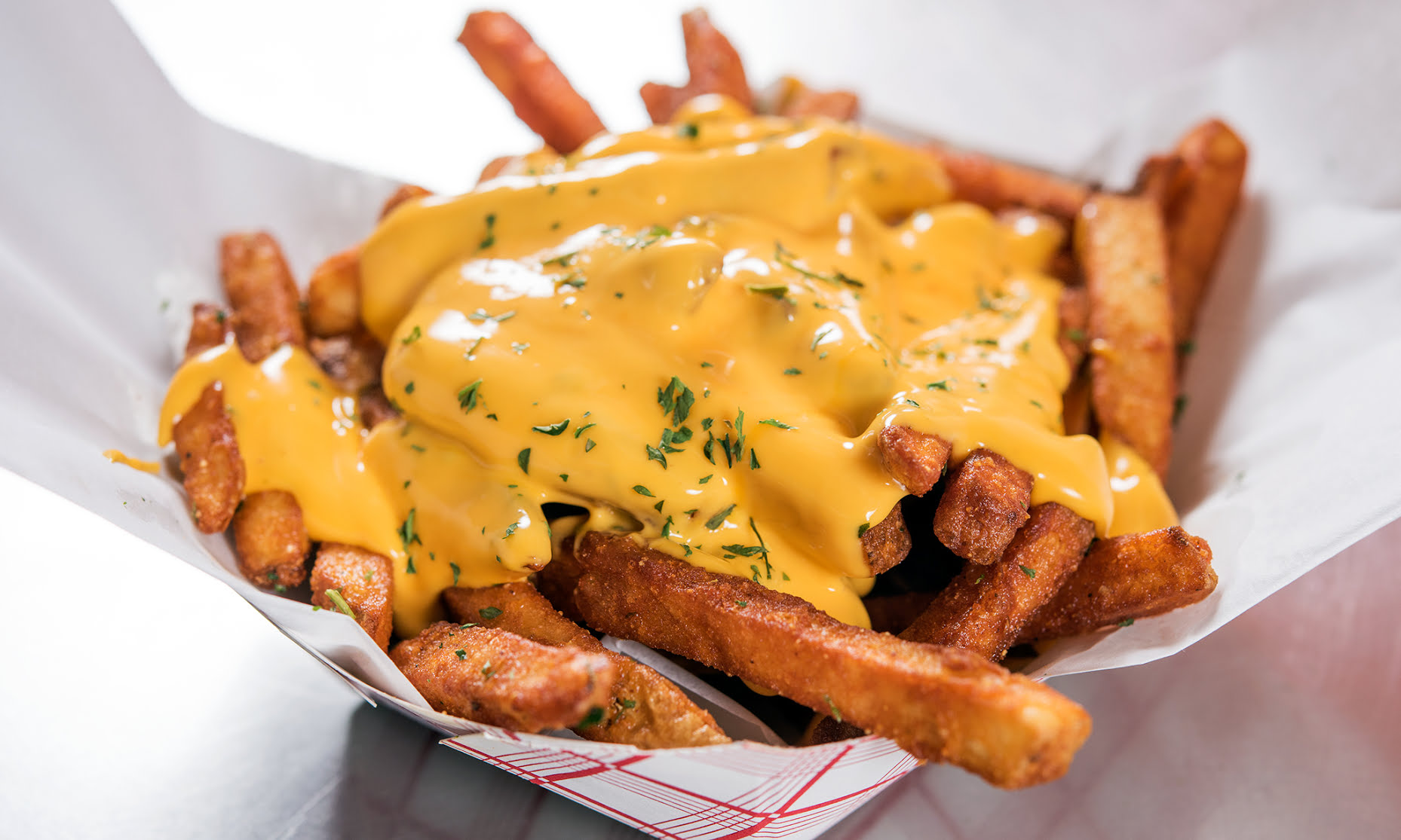 Chicago's Dog House by null