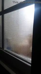 Spying through the window russia saint petersburg empflix porn videos jpg x Window spy