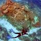 Barrier Reef plan must move faster: UNESCO 