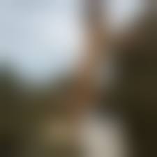 naturist patreon naked|