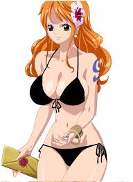 White one piece transparent when wet swimsuit jpg x One piece bikini
