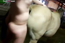 Adorable man fucks animal in the anal hole jpg x Man fuck animal