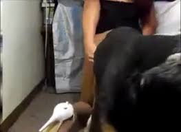 Sexy shemales fucking pets anal dream house jpg x Shemale fucks dog