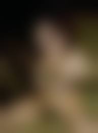 sumire 緊縛|美女緊縛 （１８１）／SUMIREさん① : ０．５５世紀少年