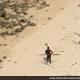 Call Off Search For US Man's Body In Andamans: Conservationists To Police - NDTV