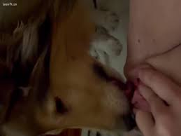 Most relevant short bestial dog sex videos lick pussy page bestialzoo net zoo videos jpg x Dog licking pussy