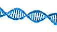 DNA: Yaşamın Şifresini Taşıyan Molekül ile ilgili video