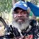 Stories from the long grass: The daily struggle to survive for Darwin's ... 