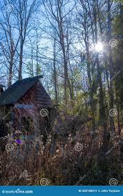 forest nudist|Female Nude In The Forest, 絵画 Hilary J Englandによって | ArtMajeur