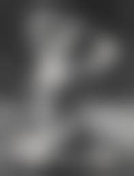 hari nude|Mata Hari In Photos: The Ultimate Femme Fatale and Woman of Courage -  Flashbak