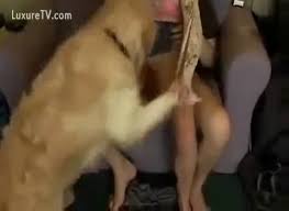 Dog licking pussy jpg x Dog licking pussy