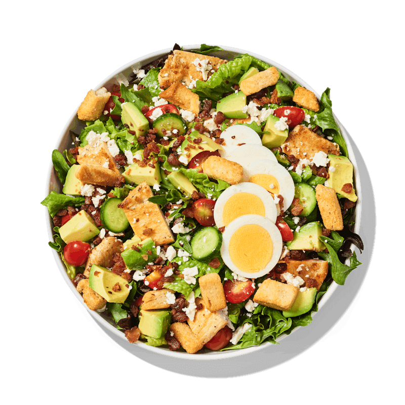 Noodles and Company by null