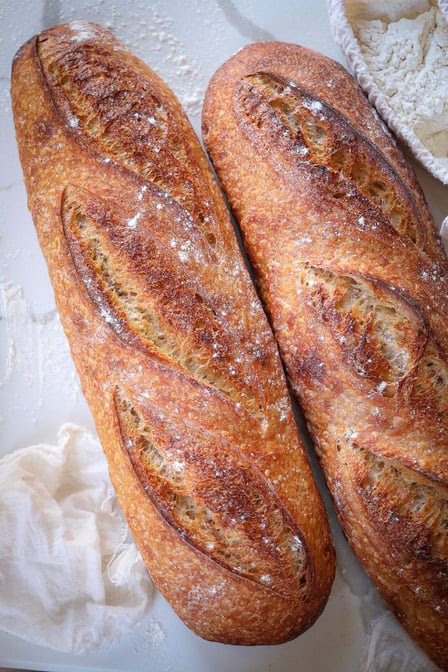 Proof Bread by null