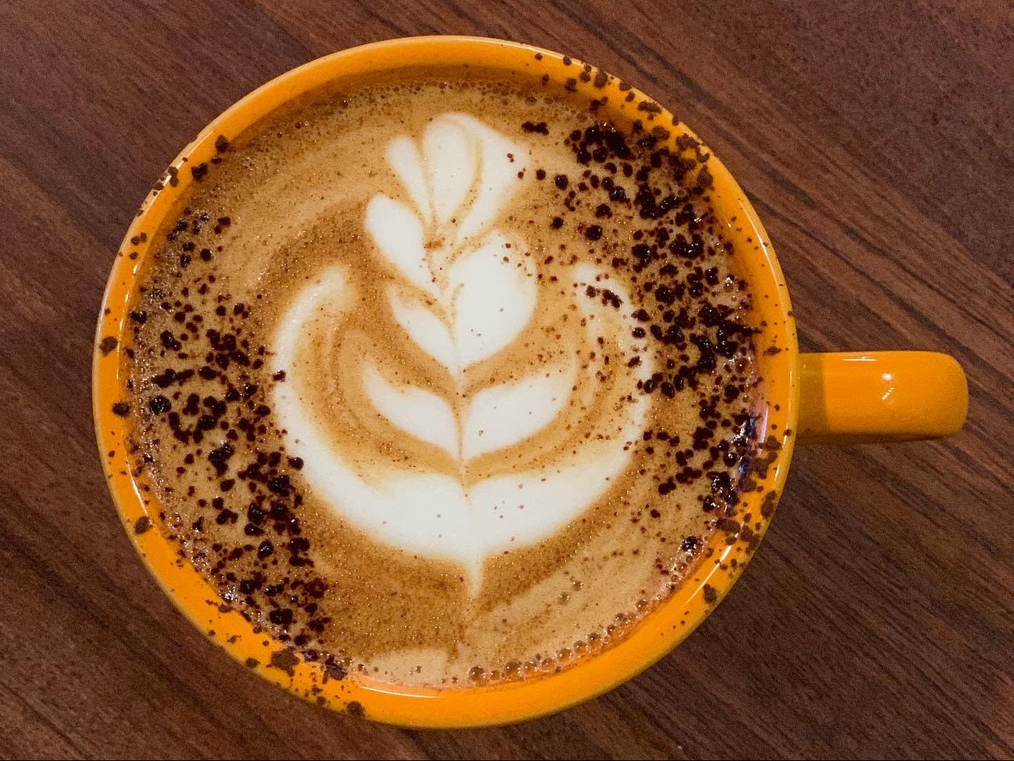 Curiosity Coffee Bar by null