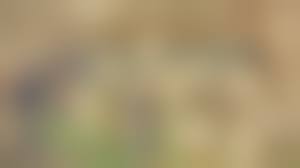 混浴|日本最大の混浴♨温泉へ！青森県酸ヶ湯館内・浴室内完全ガイド！～ペリーもたまげる1000人混浴風呂！《付録：日本の混浴の歴史と現状解説》 -  YouTube