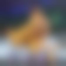 体位48手|BLラブシーン作画テクニック さまざまな体位が描ける四十八手ポーズ集 (書籍) - ホビーサーチ 雑誌・資料集