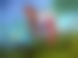 3d imperia hentai comic|Gif Hentai Archives - Page 13 of 19 - Hentaiwikis