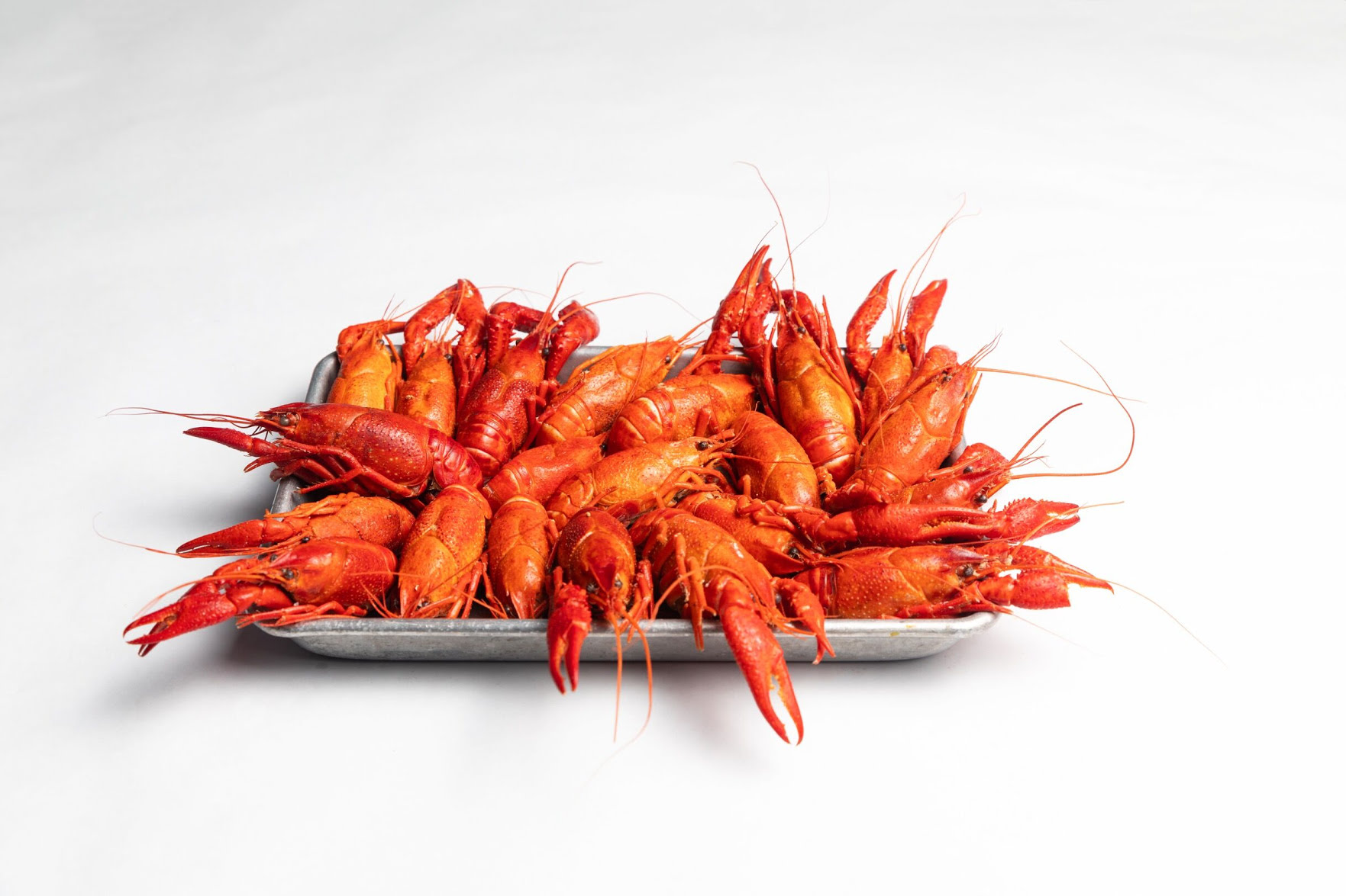 Shrimp Heads by null