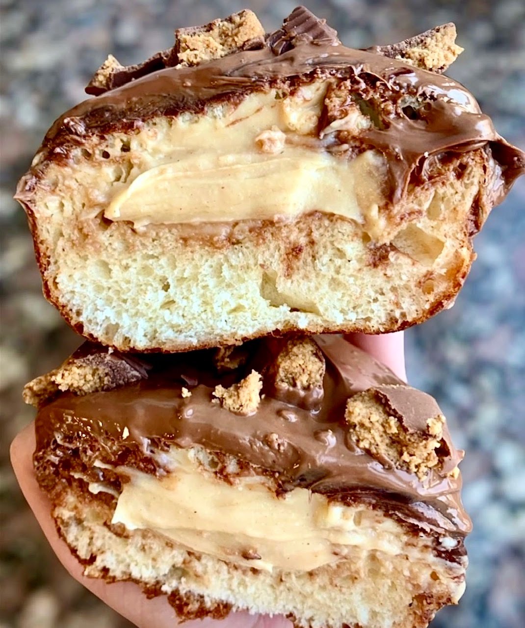 Union Square Donuts by null