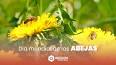 El papel esencial de las abejas en nuestro ecosistema ile ilgili video