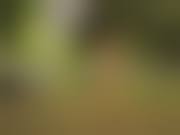 野外露出 deko|jaon072 jaon072 jaon072 yagaidaisuki素晴らしい - Tumbex