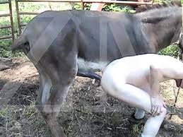 Man fuck horse jpg x Man fuck horse