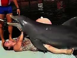 Man fucks dolphin gif x Man fucks dolphin