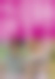 婆さんとやりたい|写真家・西本喜美子さんのエッセイ『94歳、自撮りおばあちゃんやりたい放題のひとり暮らし』楽しむ生き方が熱い | おとなの住む旅