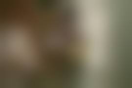 盗撮　露天風呂　マンコ|修学旅行で泊まった旅館の露天風呂で放尿するJK | ほにょらー